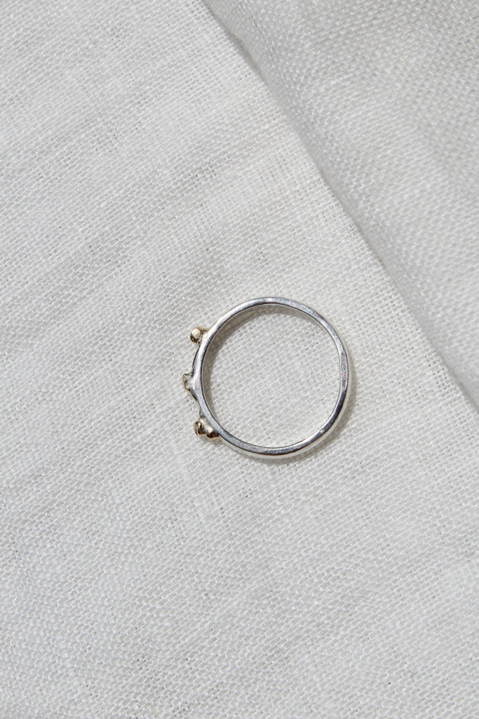 Trio dust ring
